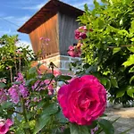Quinta Do Mirante