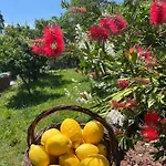 Quinta Do Mirante 펜션