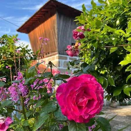 Quinta Do Mirante