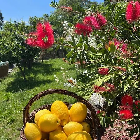 Quinta Do Mirante Holiday home