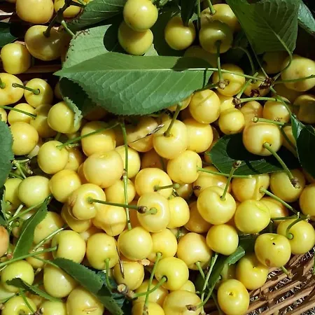 펜션 Quinta Do Mirante *