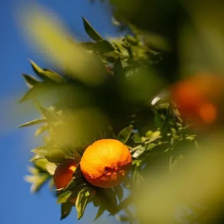 Quinta Do Mirante 別荘