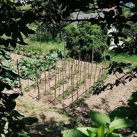 Quinta Do Mirante * Castelo de Paiva