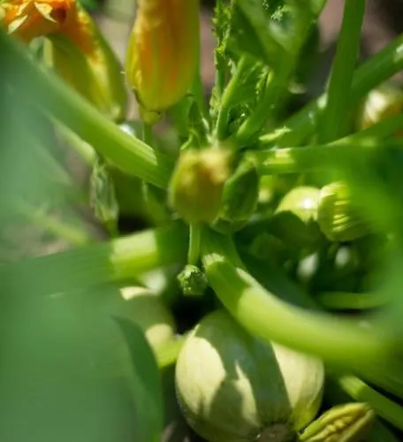 Quinta Do Mirante 카스텔루 지 파이바