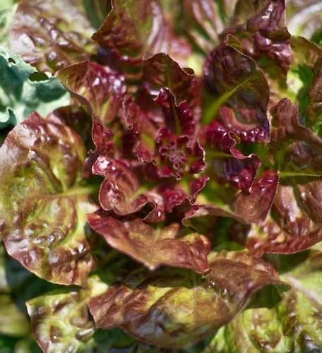 Quinta Do Mirante Сasa de vacaciones