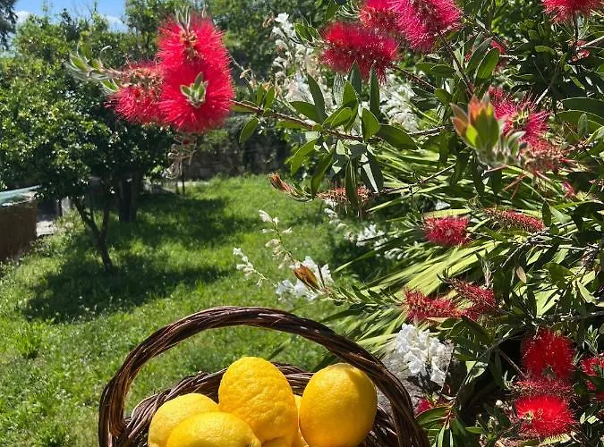 Quinta Do Mirante Сasa de vacaciones