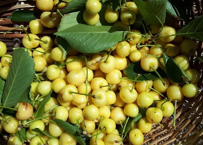 펜션 Quinta Do Mirante *