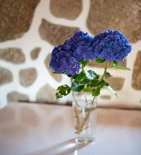 Hébergement de vacances Quinta Do Mirante Castelo de Paiva