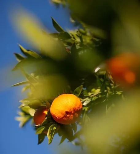 Quinta Do Mirante Сasa de vacaciones