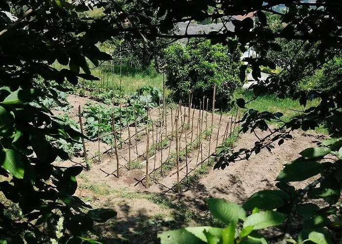 Quinta Do Mirante * 카스텔루 지 파이바